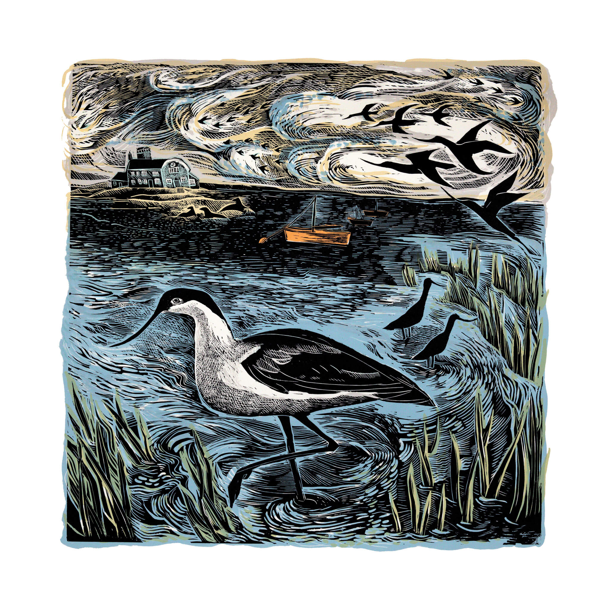 Avocets at Blakeney – Angela Harding