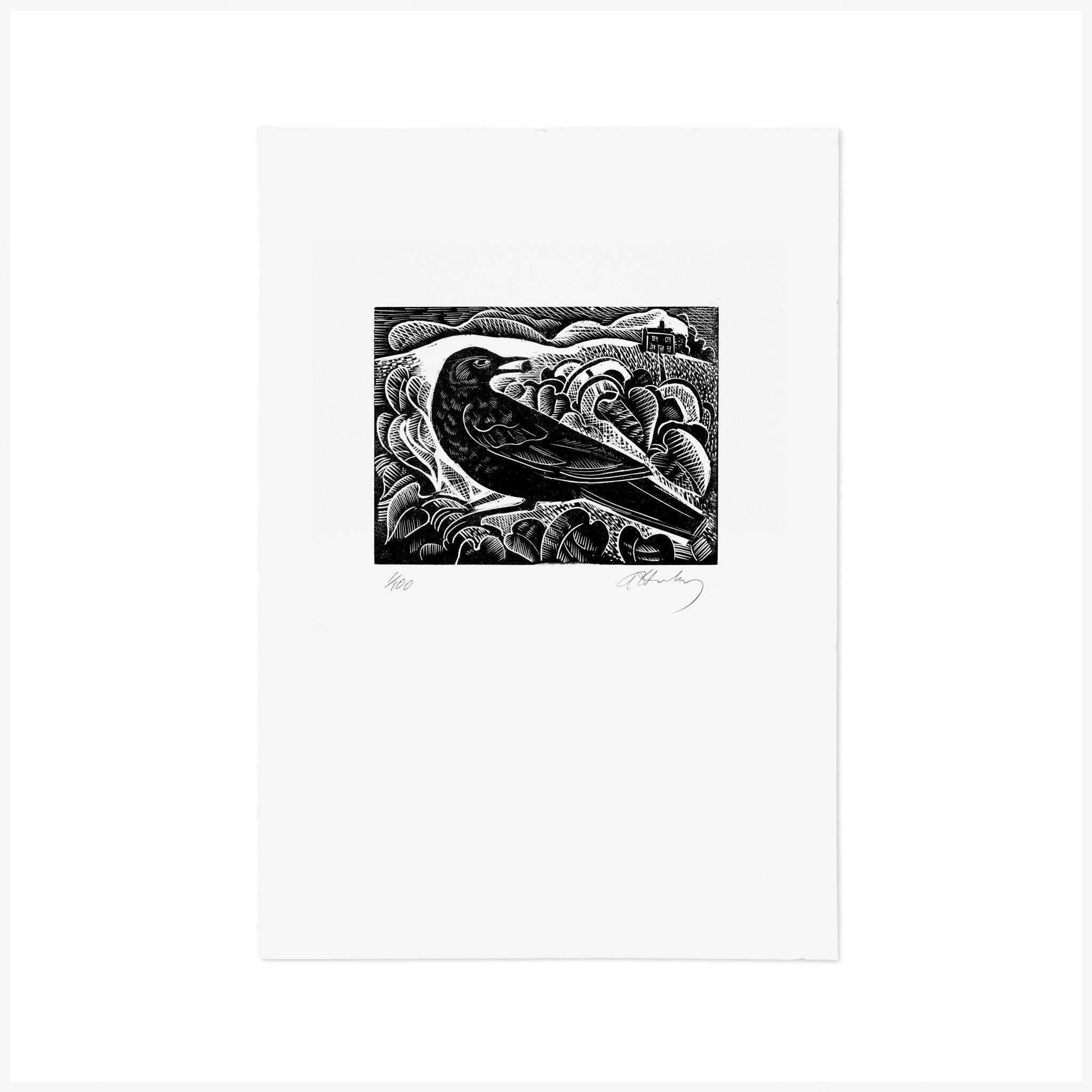 B is for Blackbird, Wood Engraving by Angela Harding