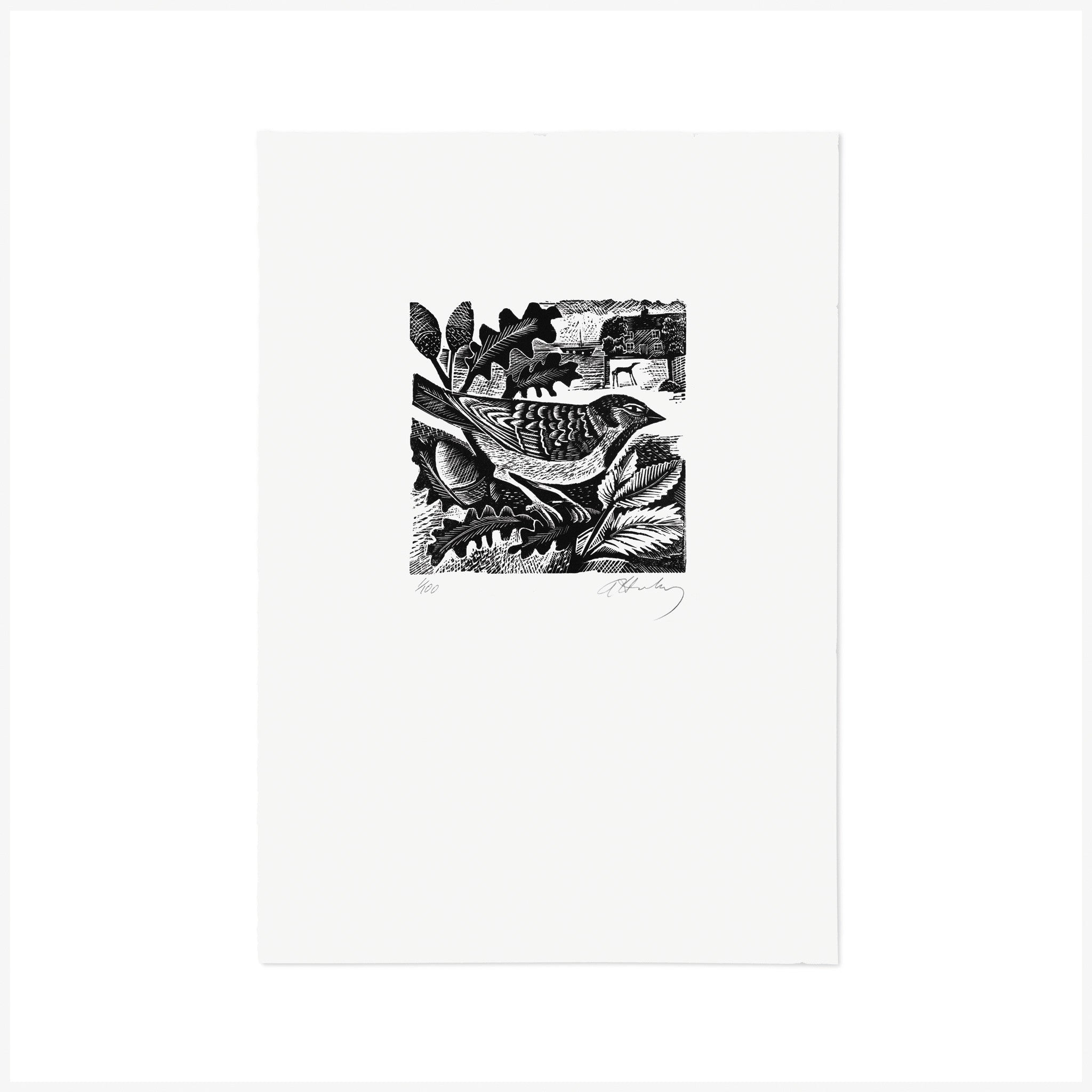 H is for House Sparrow, Wood Engraving by Angela Harding