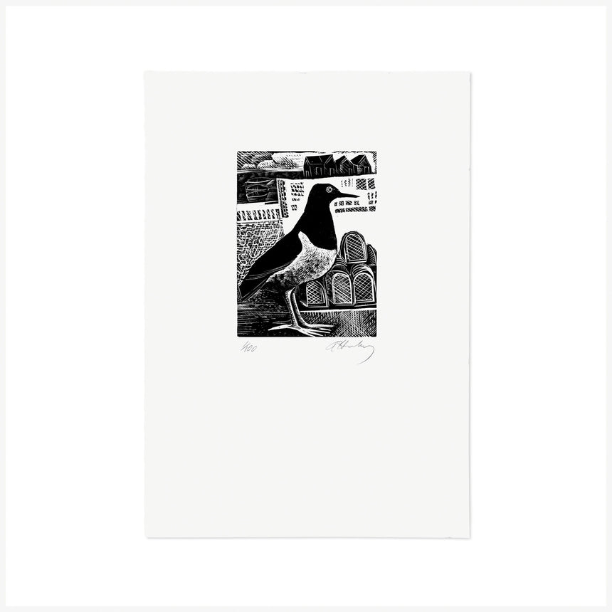 O is for oystercatchers, Wood Engraving by Angela Harding