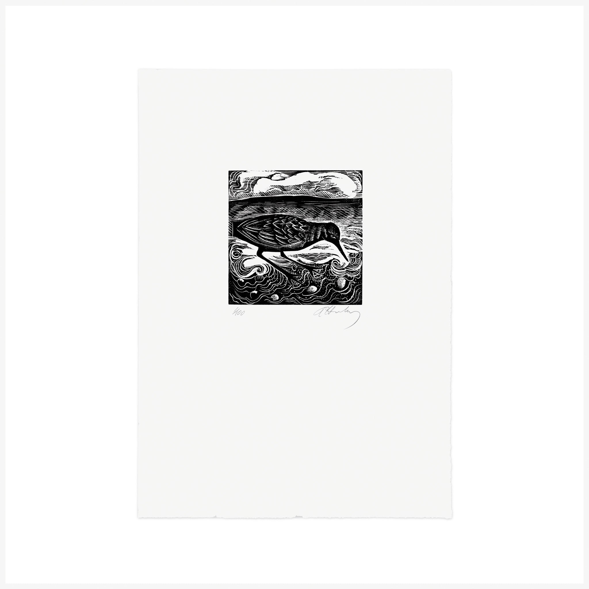 T is for Turnstone, Wood Engraving by Angela Harding