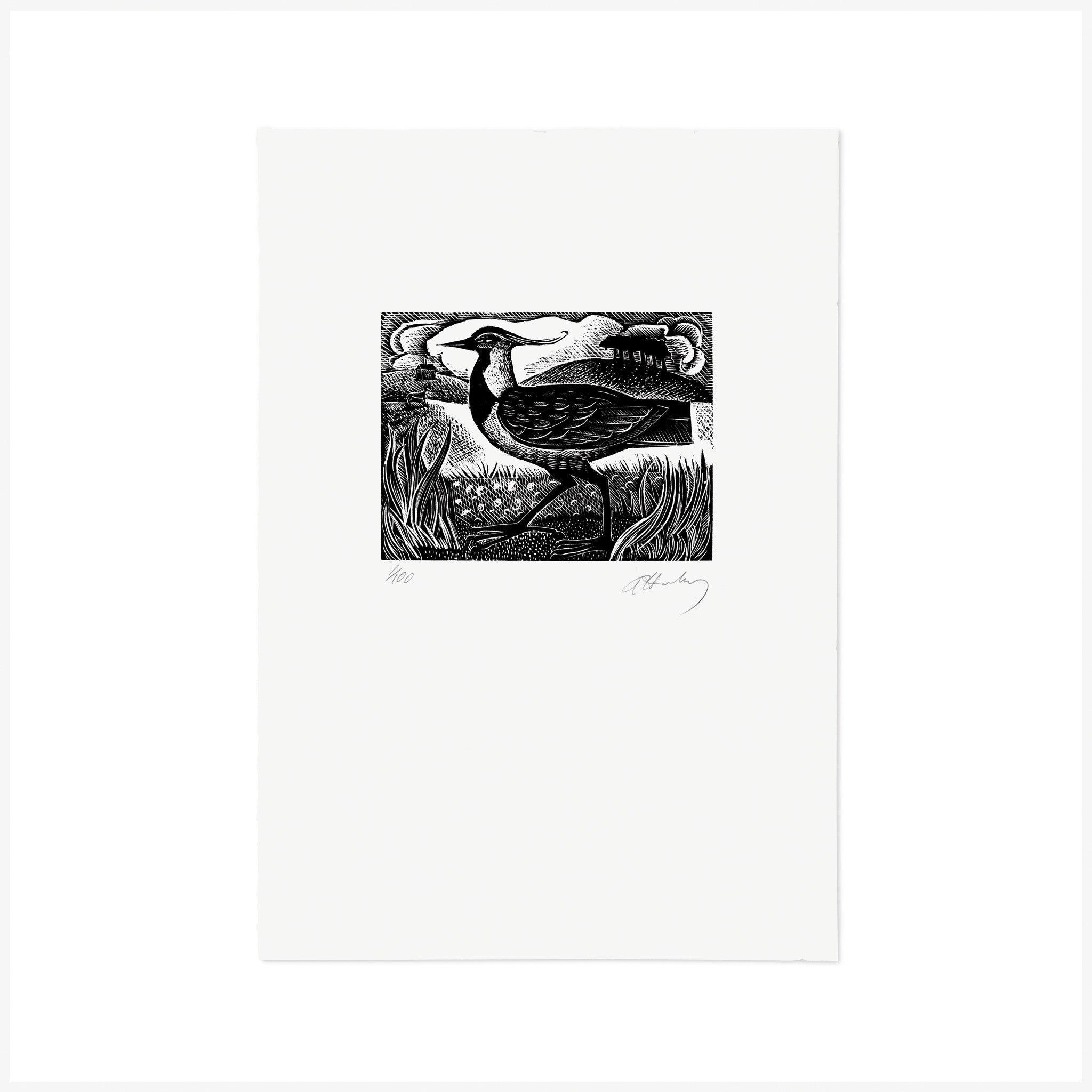V is for Vanellas Vanellas, Wood Engraving by Angela Harding