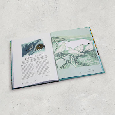 RSPB Birds Book