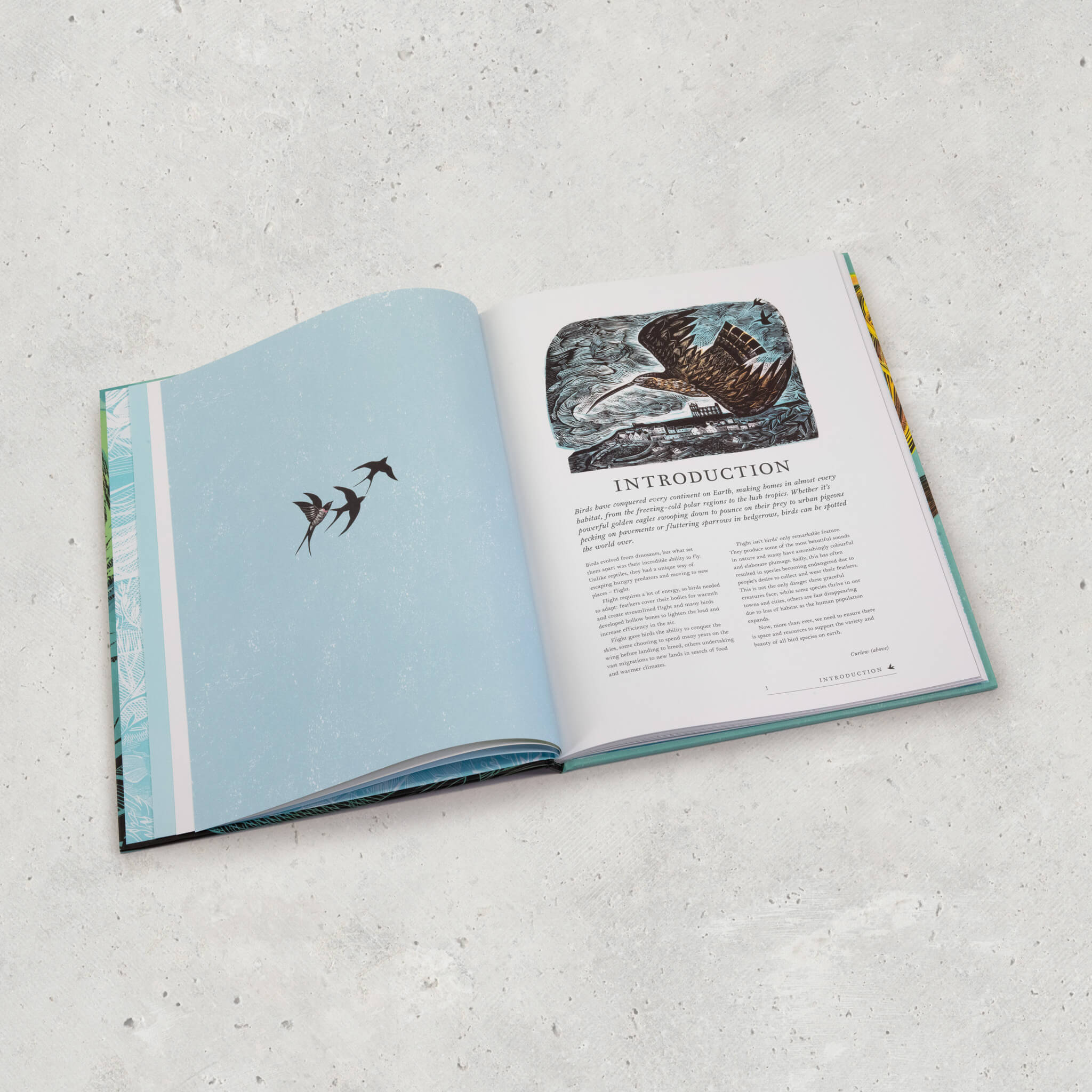 RSPB Birds Book