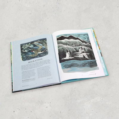RSPB Birds Book