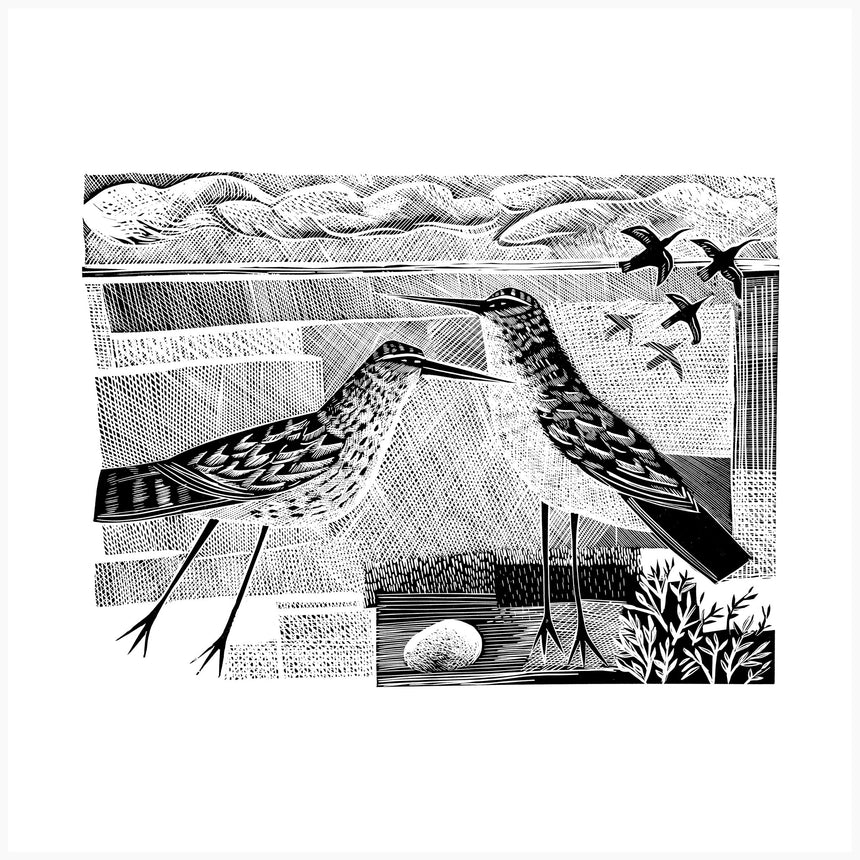 Norfolk Bird Black and White Edition, Linocut Print by Angela Harding