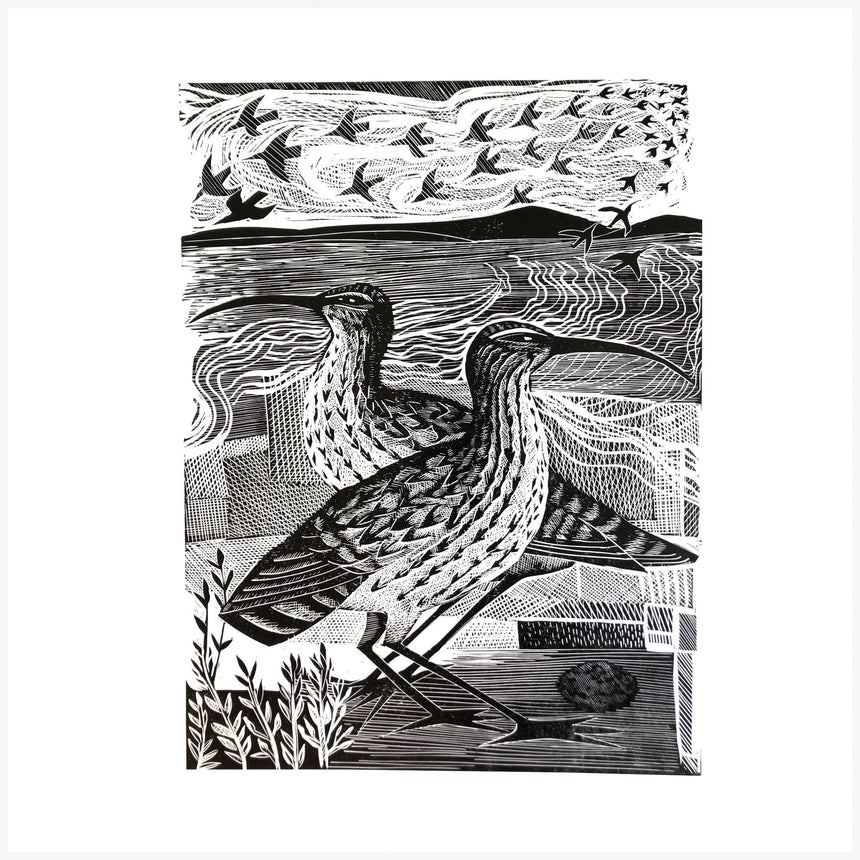 Two Curlews print in black and white by Angela Harding