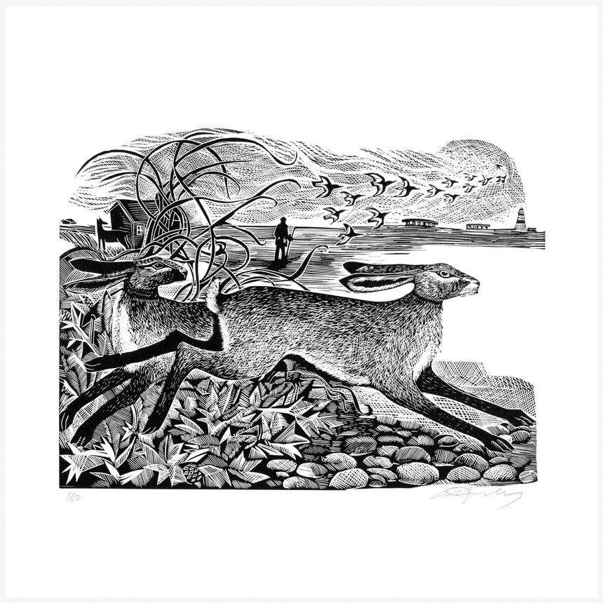 Orford Hares Print by Angela Harding