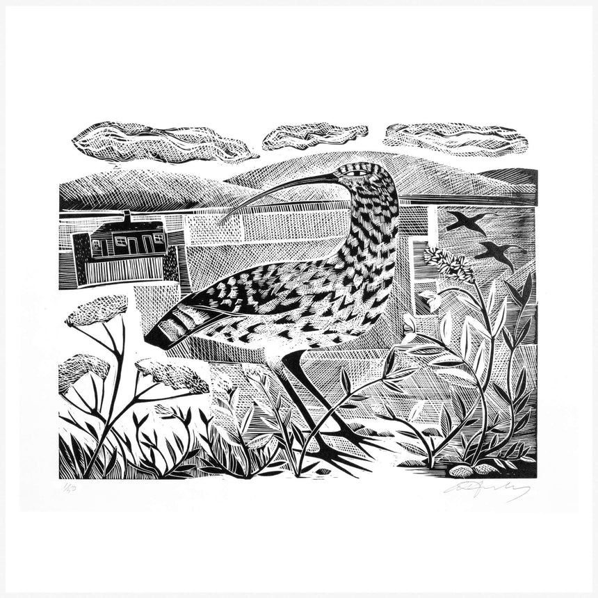 Shippen Curlew  Print by Angela Harding